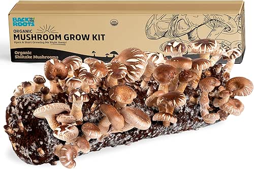 Back to the Roots Organic Shiitake Mushroom Kit; Great Gift;