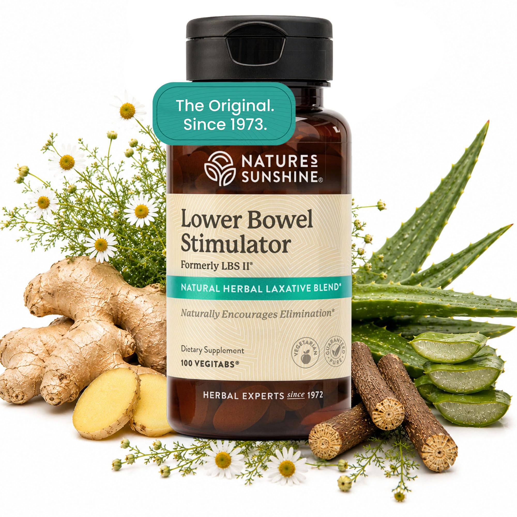 Nature's Sunshine Lower Bowel Stimulator VegiTabs - Bowel Movement & Constipation Relief for Adults with Natural Laxative Herbs, Cascara Sagrada Bark, Colon Cleanse & Detox Supplement, Vegan, 100 Ct