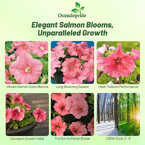 Miniatura 2 de Outsidepride 250 semillas anuales de flores de salmón Petunia Grandiflora para plantar