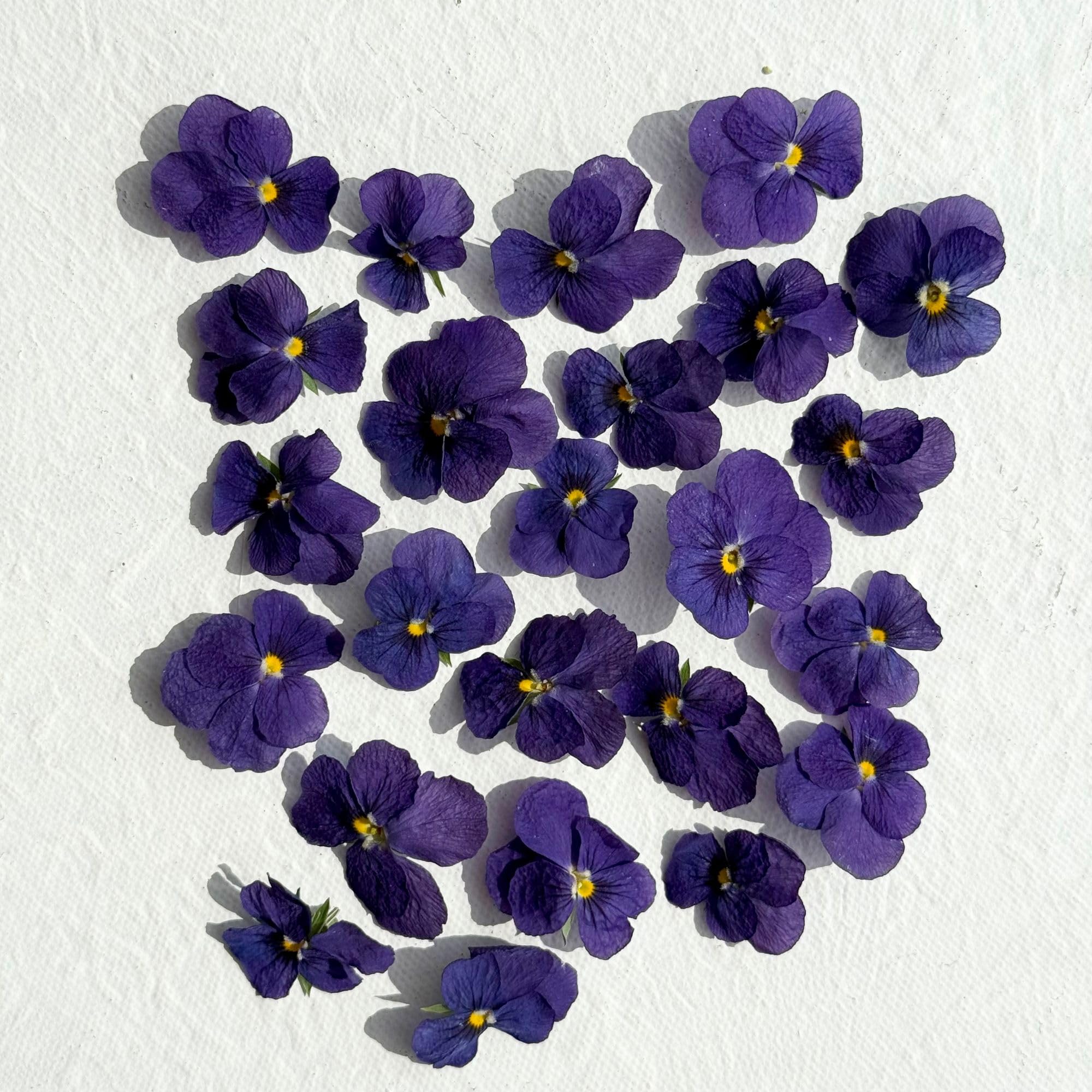 Edible Flowers - Freeze Dried Purple Violas – 20 Heads - UK Product – Certified Food Grade (526)