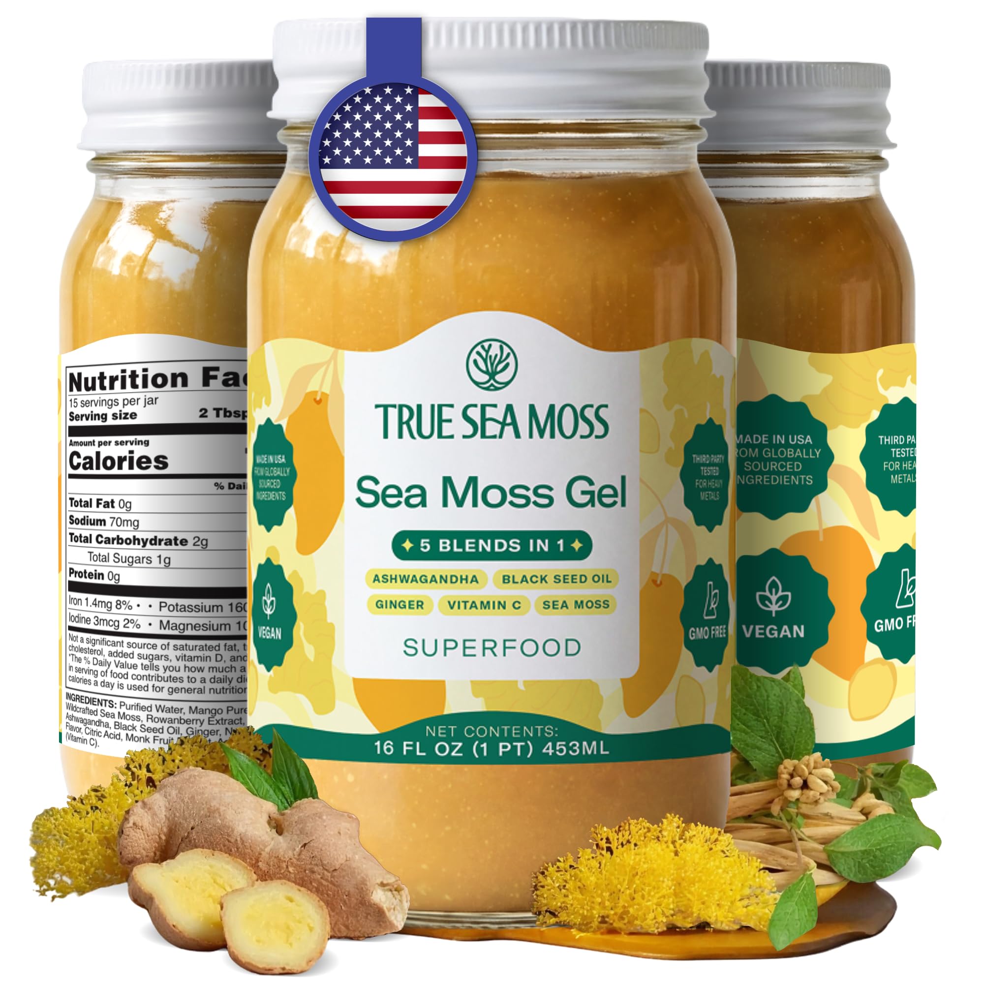 TrueSeaMoss Sea Moss Gel – 5-in-1 Formula – Wildcrafted Seamoss, Ashwagandha & Jarred Vegetables – Ashwagandha, Pack of 1 (Labels may Vary)