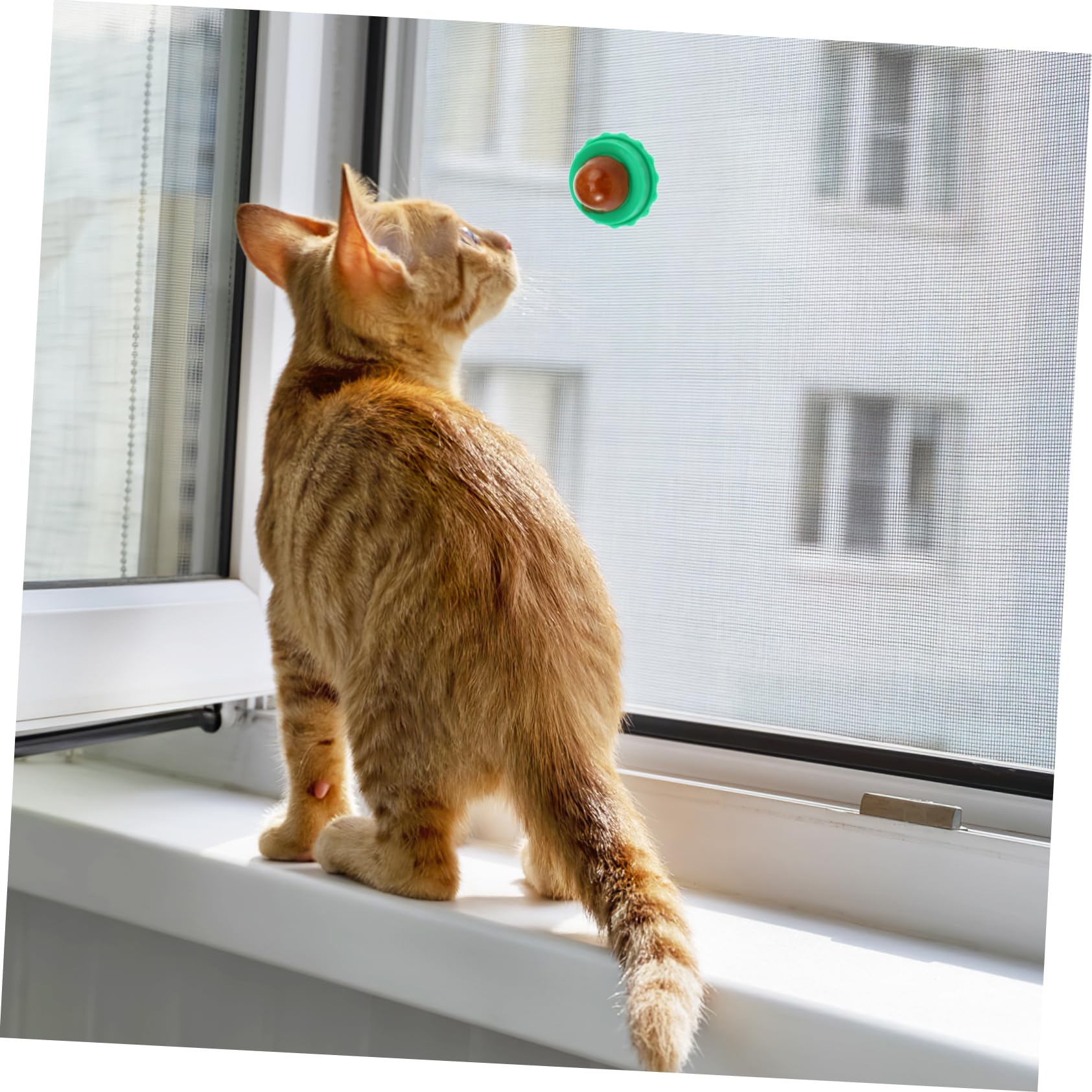 Lot De 3 Friandises pour Chats Rouleaux Sucettes Bonbons pour Animaux De Compagnie Bonbons Colle De Poisson Fournitures pour Animaux De Compagnie 10 Pièces X 3
