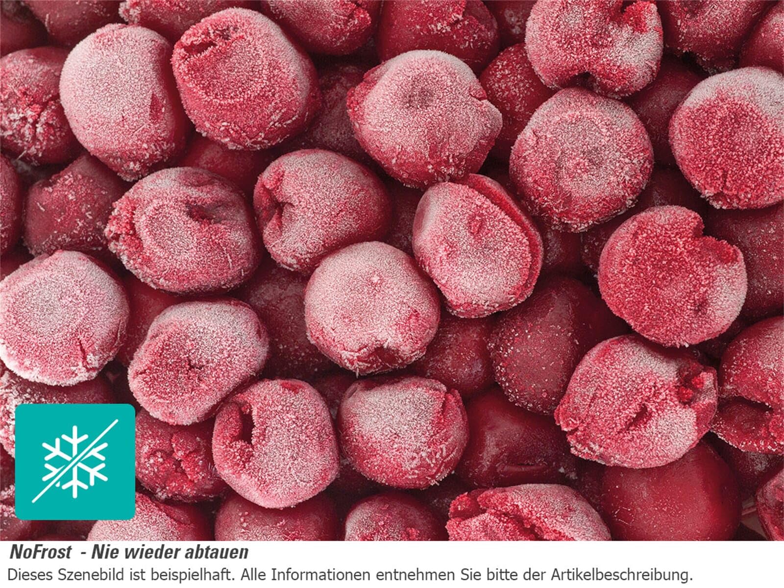 Gorenje NRKI2181E1 lodówko-zamrażarka do zabudowy, No Frost – wnęka 178,