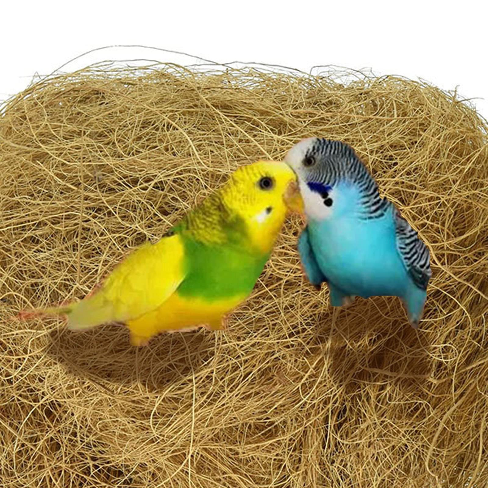 Fulenyi Fibre De Coco, 100g Literie Confortable pour Petits Oiseaux Et Animaux, Matériau De Doublure pour Nid, Idéal pour La Construction De Nids Et Les Cachettes