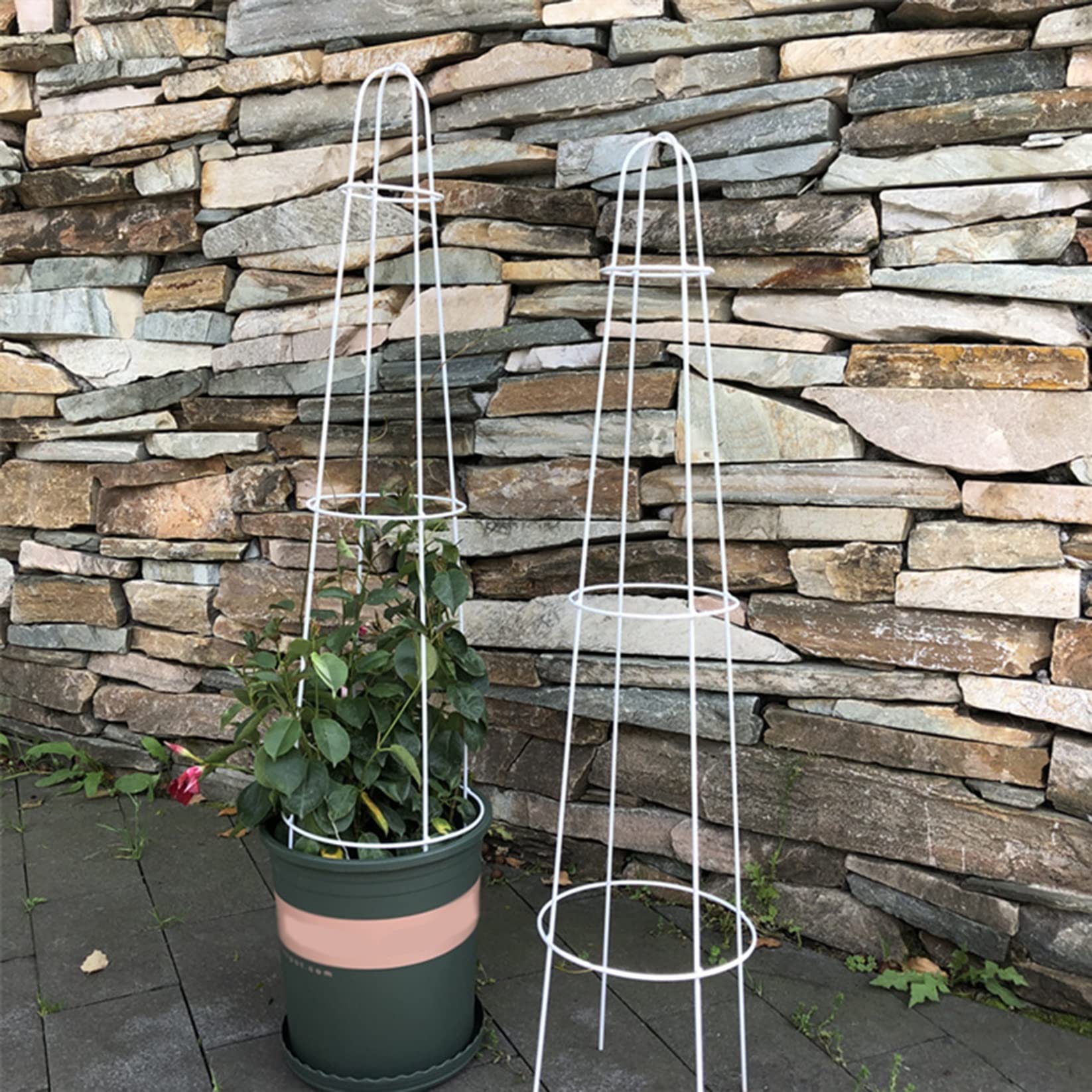 2 Pièces Obélisque Arceau Arche de Jardin,Tuteur Tomates Pieu Tuteurs Plantes Support tuteur métal Colonne rosiers aux intempéries pour Support de Fleurs,de Légumes,Plantes,Jardinage et verger