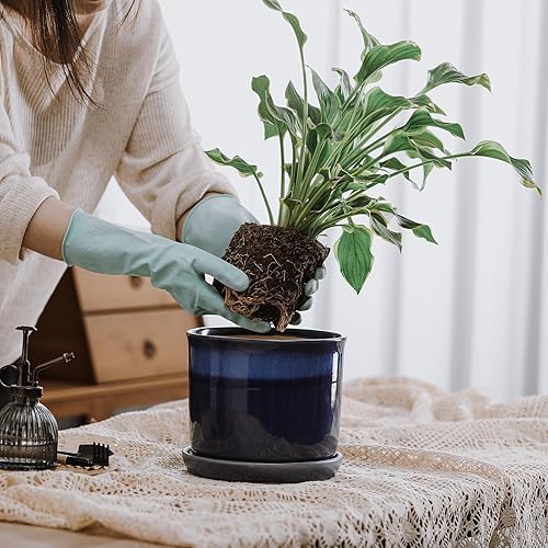 Vista 12 de Maceta de cerámica de 8 pulgadas: maceta de cerámica con orificio de drenaje y platillo para plantas de interior y exterior, maceta con bandeja