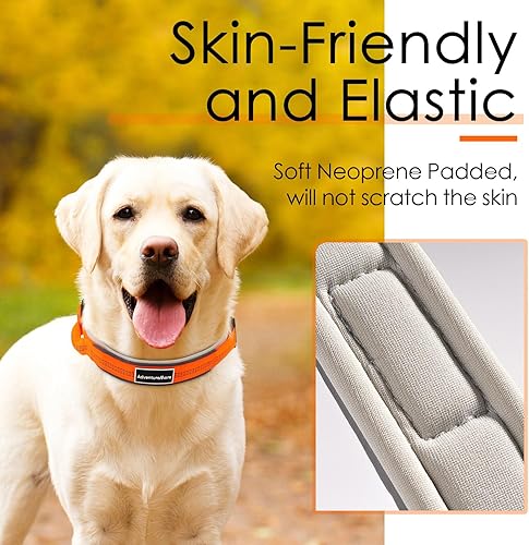 Miniatura 4 de AdventureMore Collar para perro para perros pequeños, medianos y grandes, de neopreno suave, acolchado, de nailon resistente, hebilla de liberación