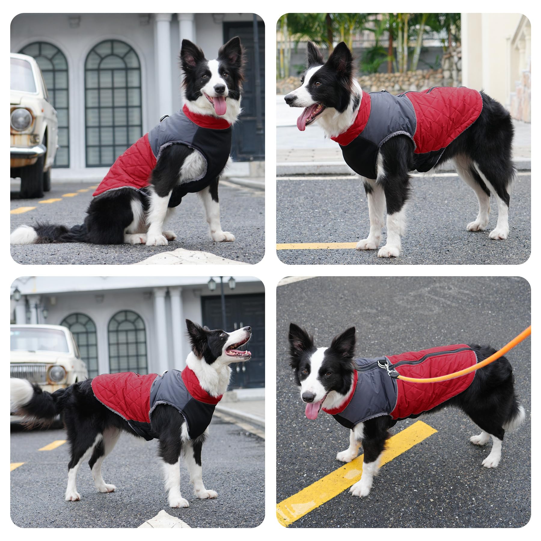 JoyDaog Manteau chaud en polaire pour petits chiens, veste imperméable avec anneaux en D, pour les hivers froids, rouge, taille XS