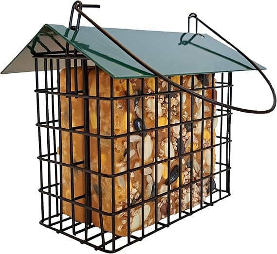 Backyard Essentials Double Suet Feeder with Green Metal