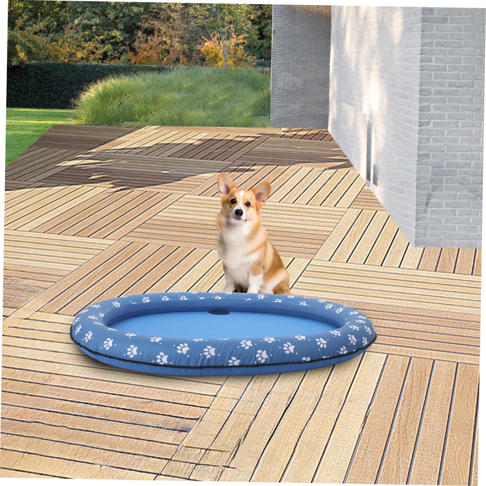 Tappetino Blu Galleggiante Gonfiabile Animali Domestici