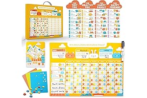 Engage in Effortless Home Education with the Multifunctional Magnetic Chart!
