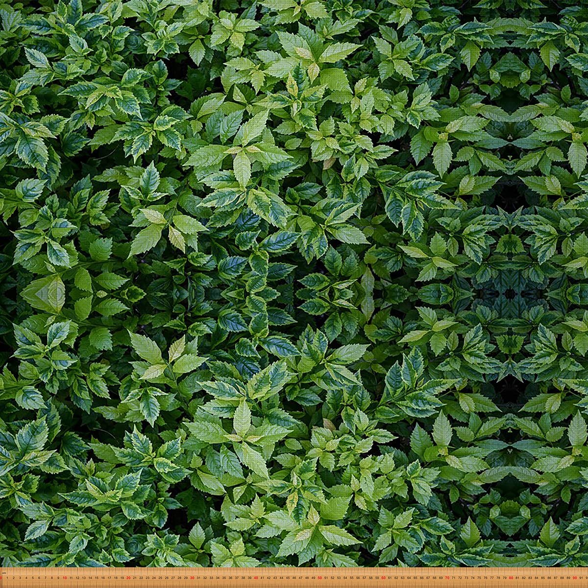 Botanical Leaves Upholstery Fabric for Chairs and Accents, Green Leaf Decorative Indoor/Outdoor Fabric, Nature Theme, 5 Yards by The Yard — image 1