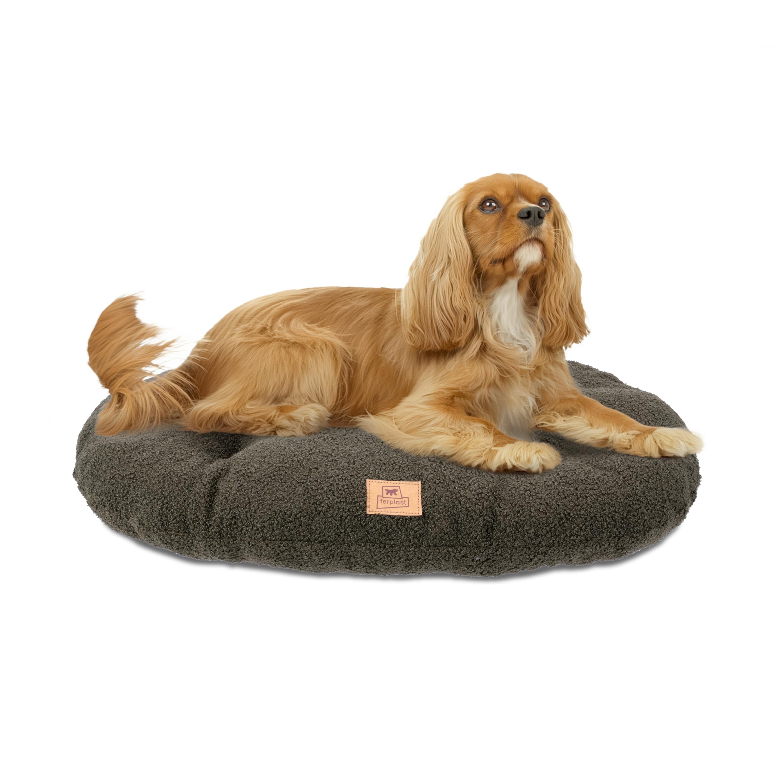 Ferplast Dog Bed Cushion for Medium-Sized Dogs, Cat Bed, Washable Synthetic Bouclé Fabric, Soft Padding, 65 x 42 xh 4 cm. Green