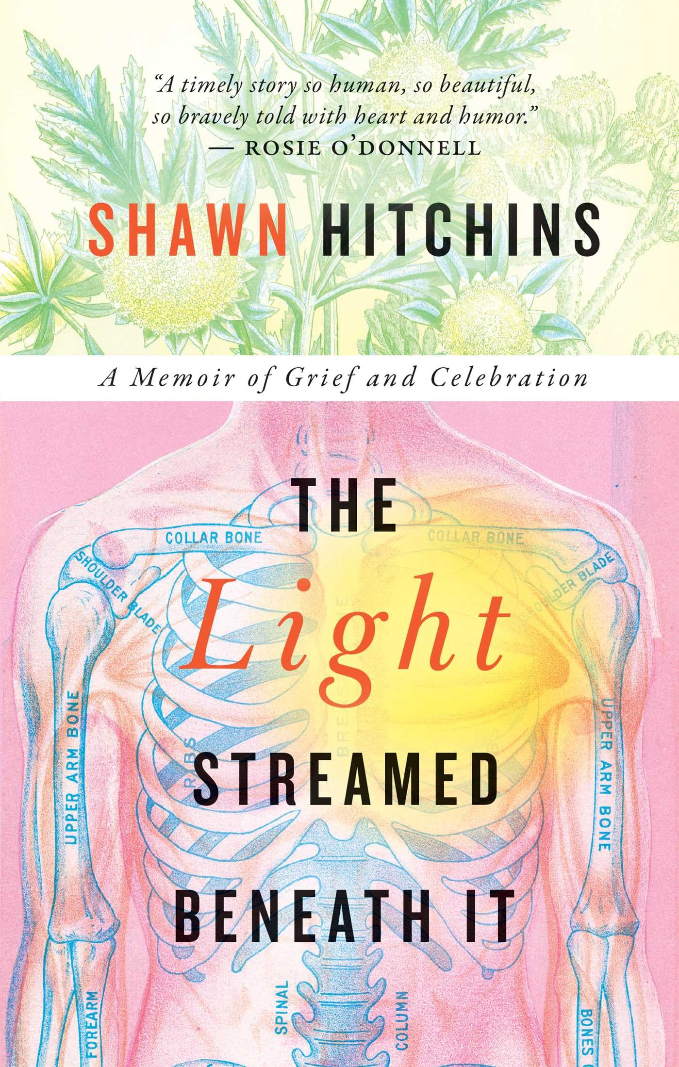 Buy The Light Streamed Beneath It: A memoir of Grief and Celebration — BookShops.in