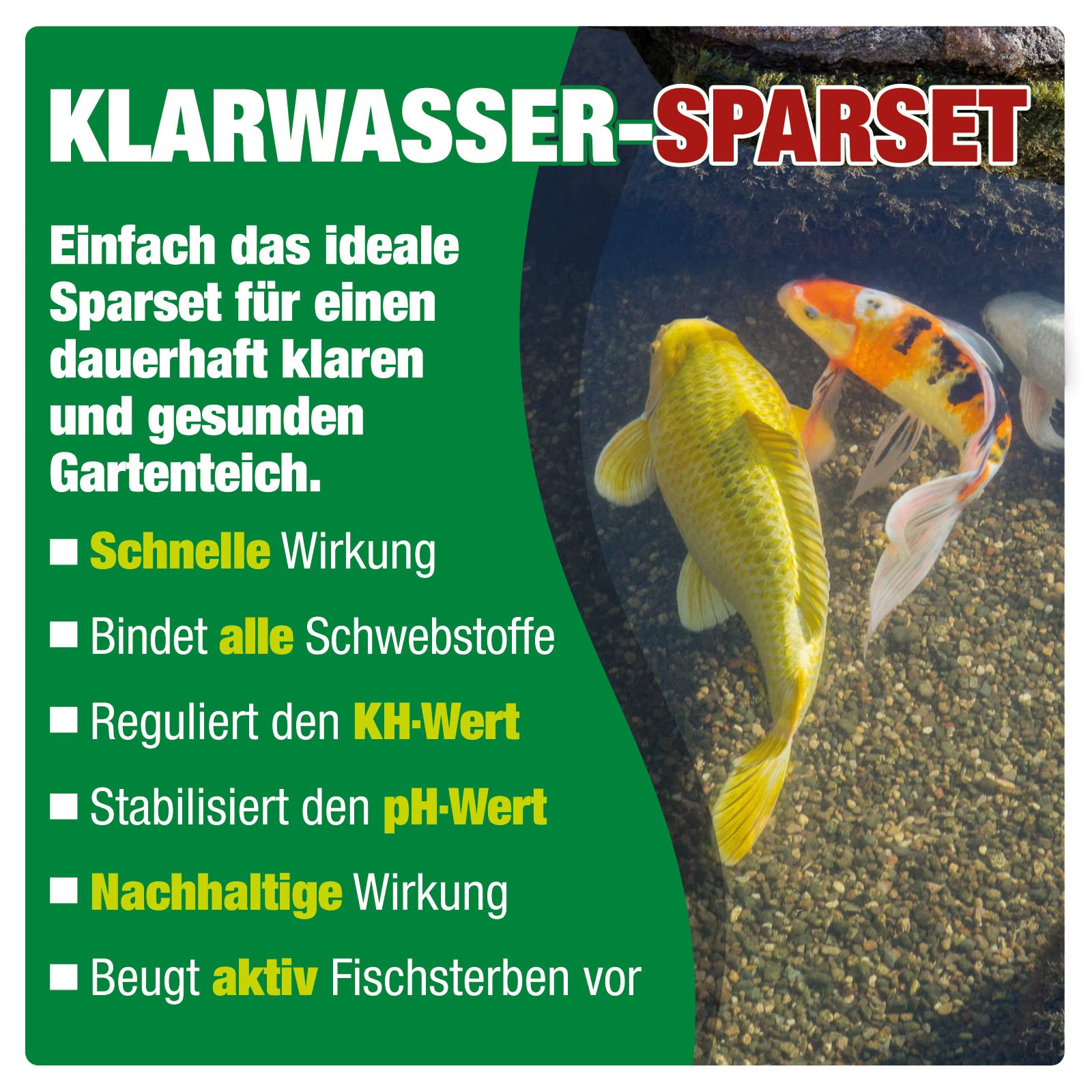 AQUALITY Klarwasser Teichpflege-Komplettset (Set mit Teichklärer und Wasserwerte Stabilisator für einen klaren Gartenteich, nachhaltige Wirkung), Inhalt:20.000 Liter