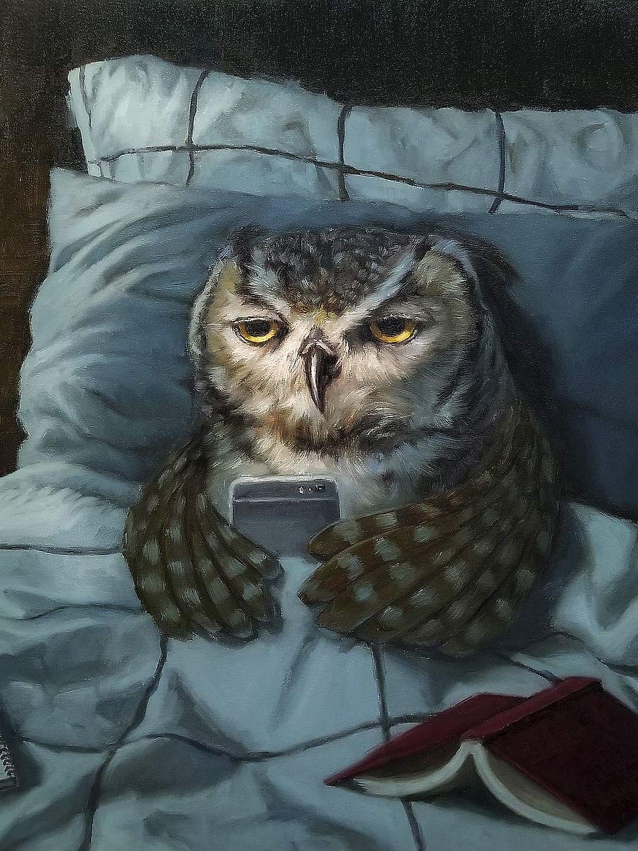 Picture Peddler Night Owl by Lucia Heffernan Cute Little Gray Owl Funny Animal Art Print Poster 11x14 Image and Overall Size