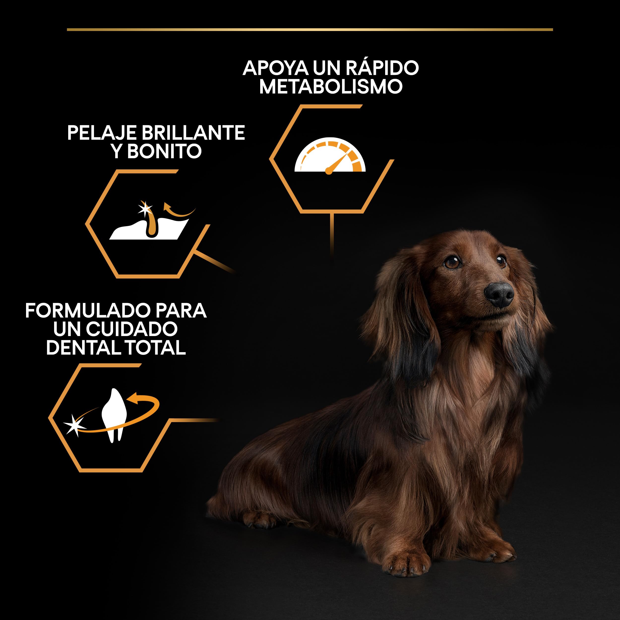 Purina Pro Plan Small Balance Pienso para Perro pequeño, Mini, Adulto con Pollo, 8 bolsas de 700g