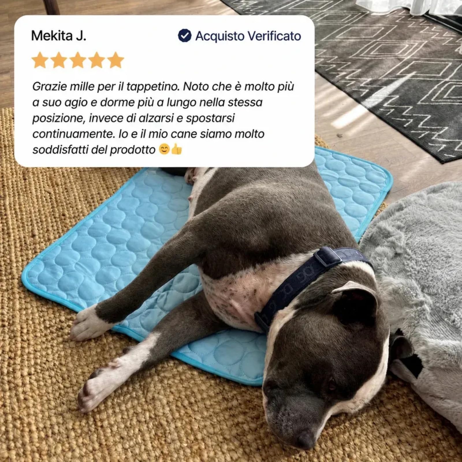 Coolnap tappetino per cani rinfrescante gel auto-raffreddante estivo (Blu, 2XL - 150x100cm)