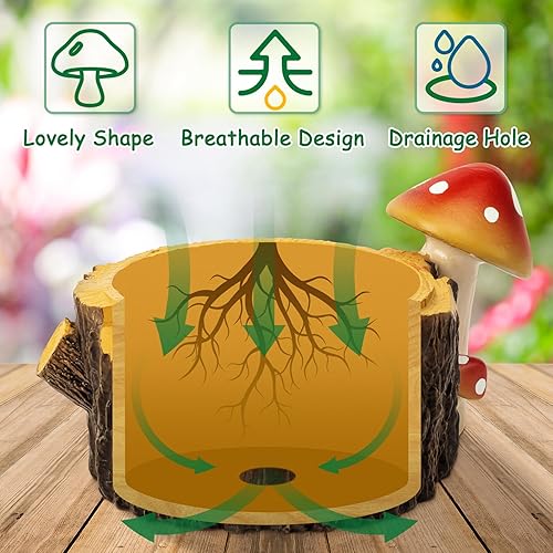 Miniatura 10 de Yiiwinwy Hedgehog - Macetas para suculentas con agujero de drenaje, macetas para plantas de interiorcactus  suculentas, maceta de interior regalo