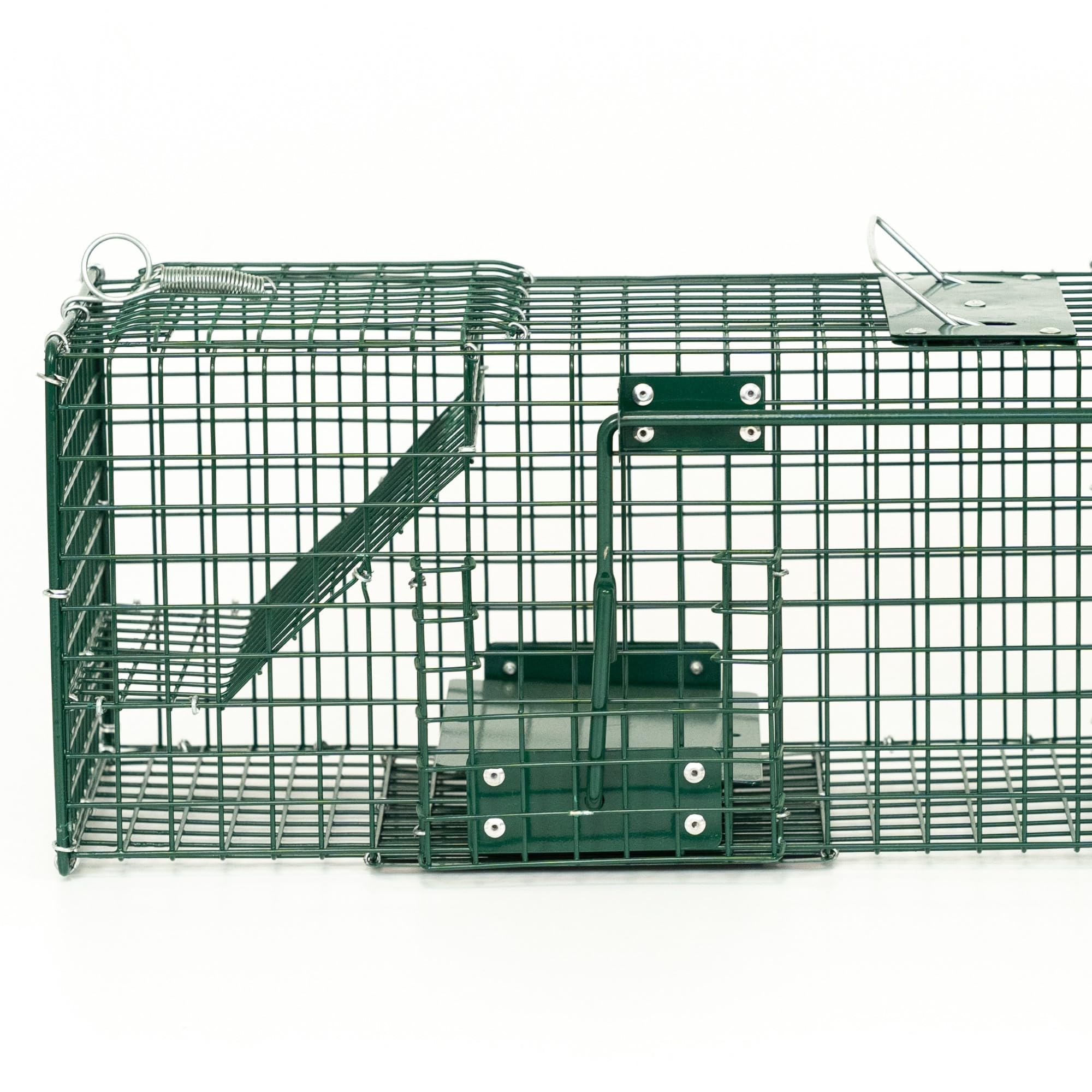 ITA Trappola 5002IT - 90x30x30 cm - 1 Porta, Resistente agli Agenti Atmosferici, Riutilizzabile, Montata