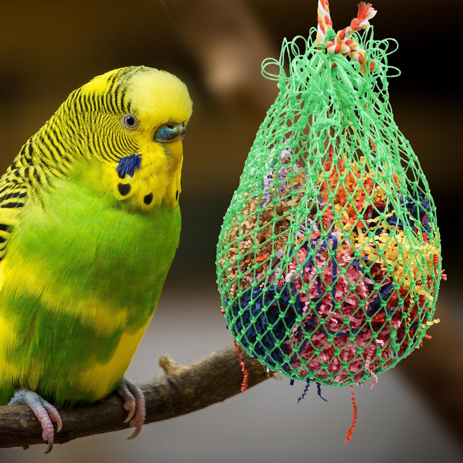 Jinkoozz Large Bird Shredder Ball Toy, Hanging Parrot Foraging Shredding Toy, Bird Cage Accessories, Suitable for Birds Parrots Parakeets Cockatiels Love Birds - 10 Inches in Diameter