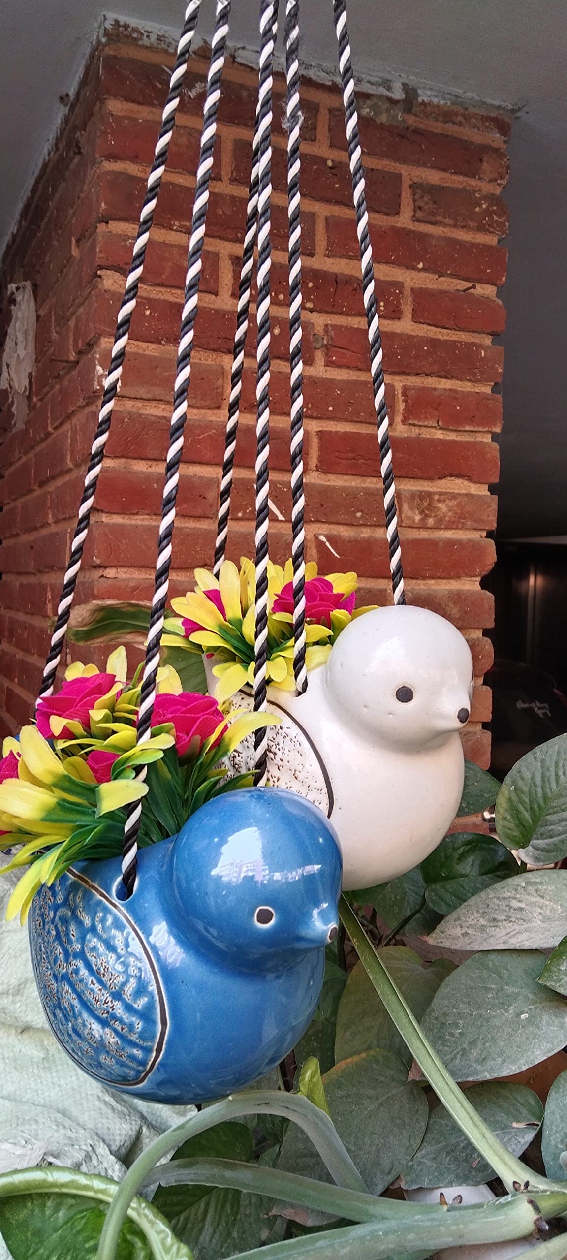 India Meets India Birds Hanging Planter [Blue & White], Cute Sparrow Planters for Succulent, Cactus, Air Plants, Herbs & Other Small Plants, Perfect for Home Decor, 20 x 6.5 x 5 INCHES, Set of 2 (B09KTZTTKJ) Amazon Price History, Amazon Price Tracker
