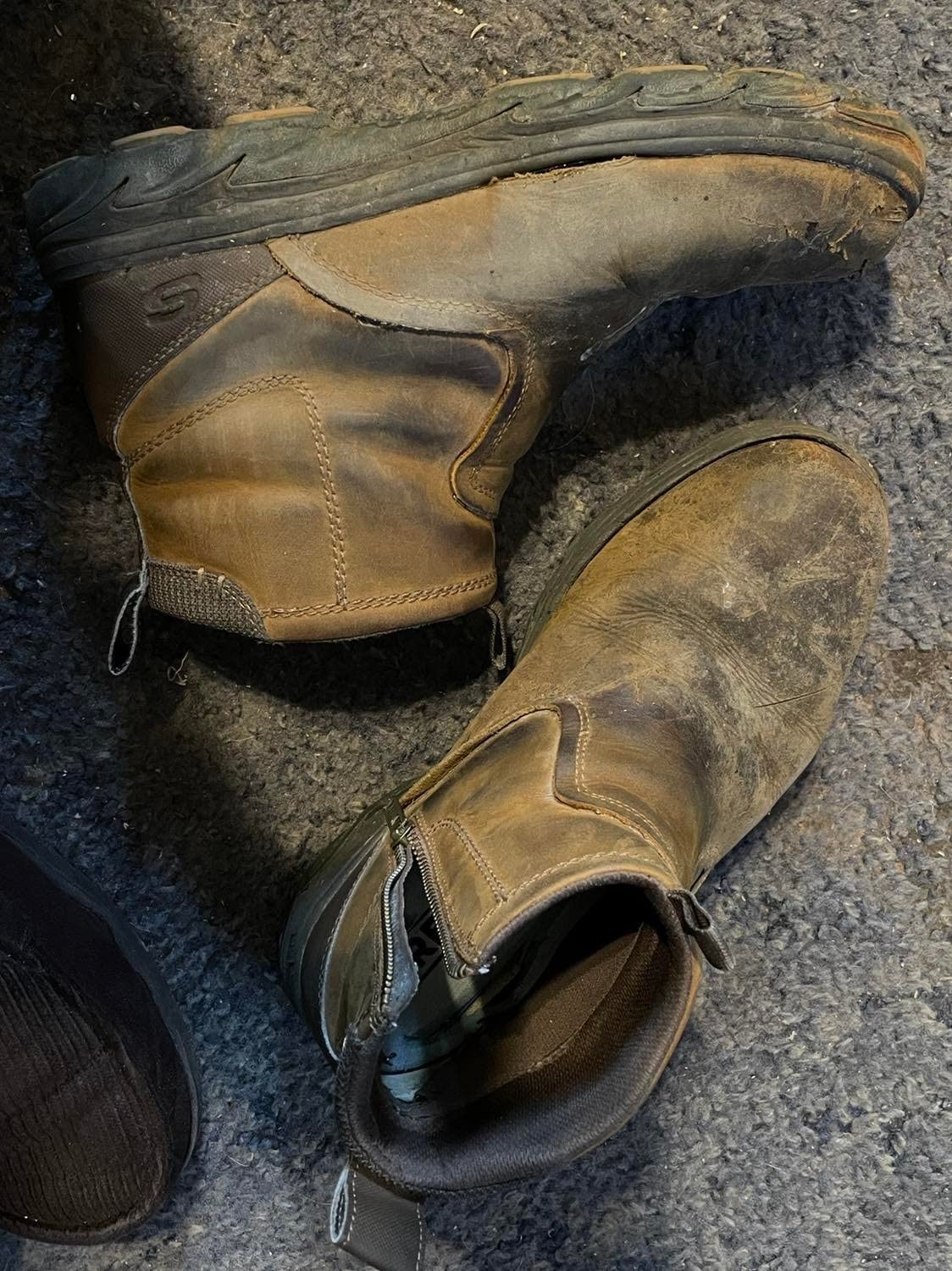 skechers resment chukka boot