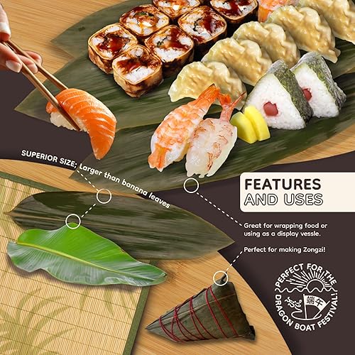 Miniatura 4 de BambooMN Hojas de bambú para cocinar zongzi, alternativa a la hoja de plátano, parrillabarbacoa, bolsas naturales para hervir, 12.25 x 3.5 pulgadas,