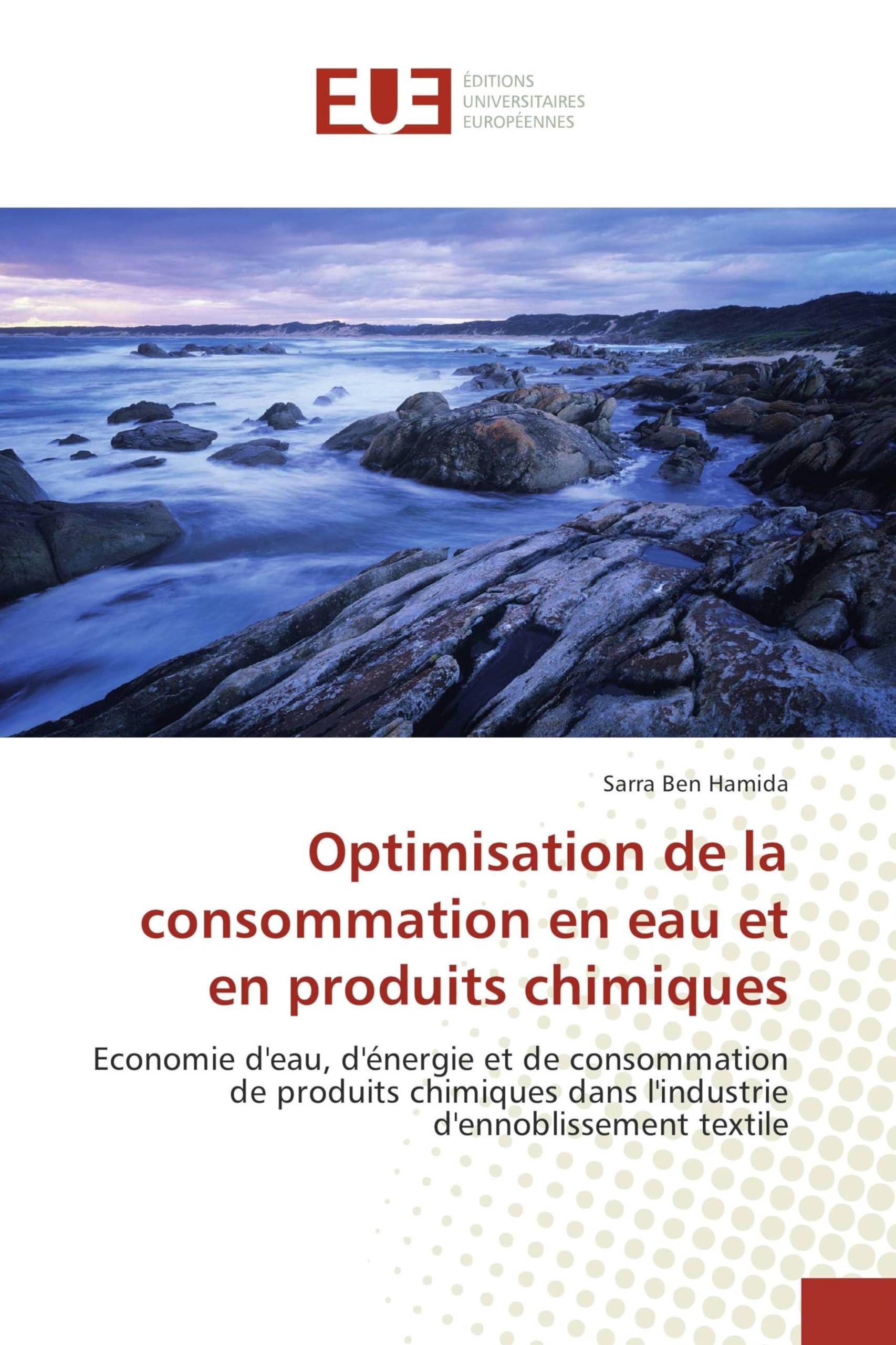 Optimisation de la consommation en eau et en produits chimiques: Economie d'eau, d'énergie et de consommation de produits chimiques dans l'industrie d'ennoblissement textile