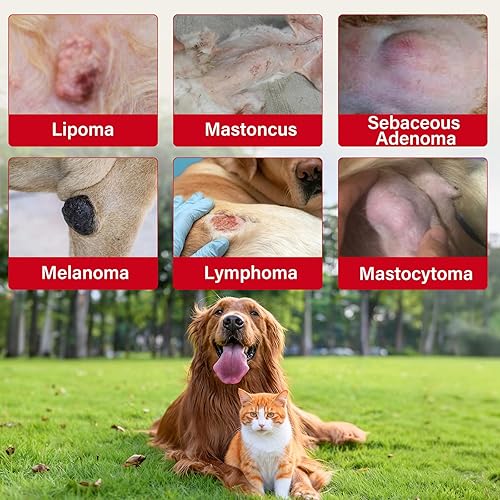 Miniatura 3 de DMSO - Lipoma para perros, protege al perro lejos de bultos y protuberancias, reduce la inflamación y la hinchazón, suaviza los bultos grasos y los