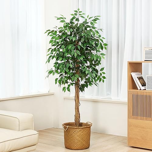 Miniatura 2 de SOGUYI Árboles artificiales Ficus de 7 pies con hojas y tronco realistas, árbol de ficus falso de seda con maceta de plástico para guardería, árbol