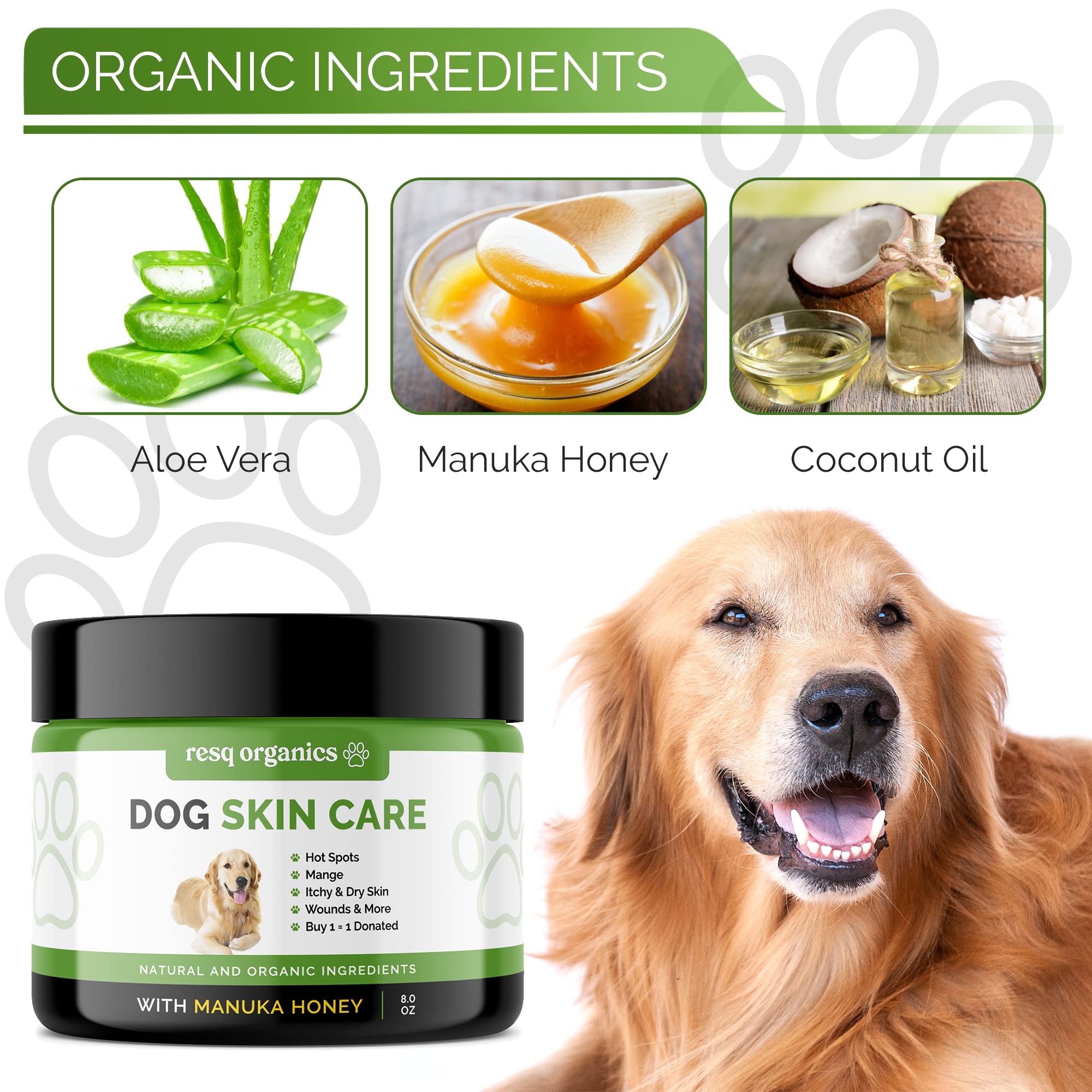 Can Coconut Oil Treat Mange In Dogs