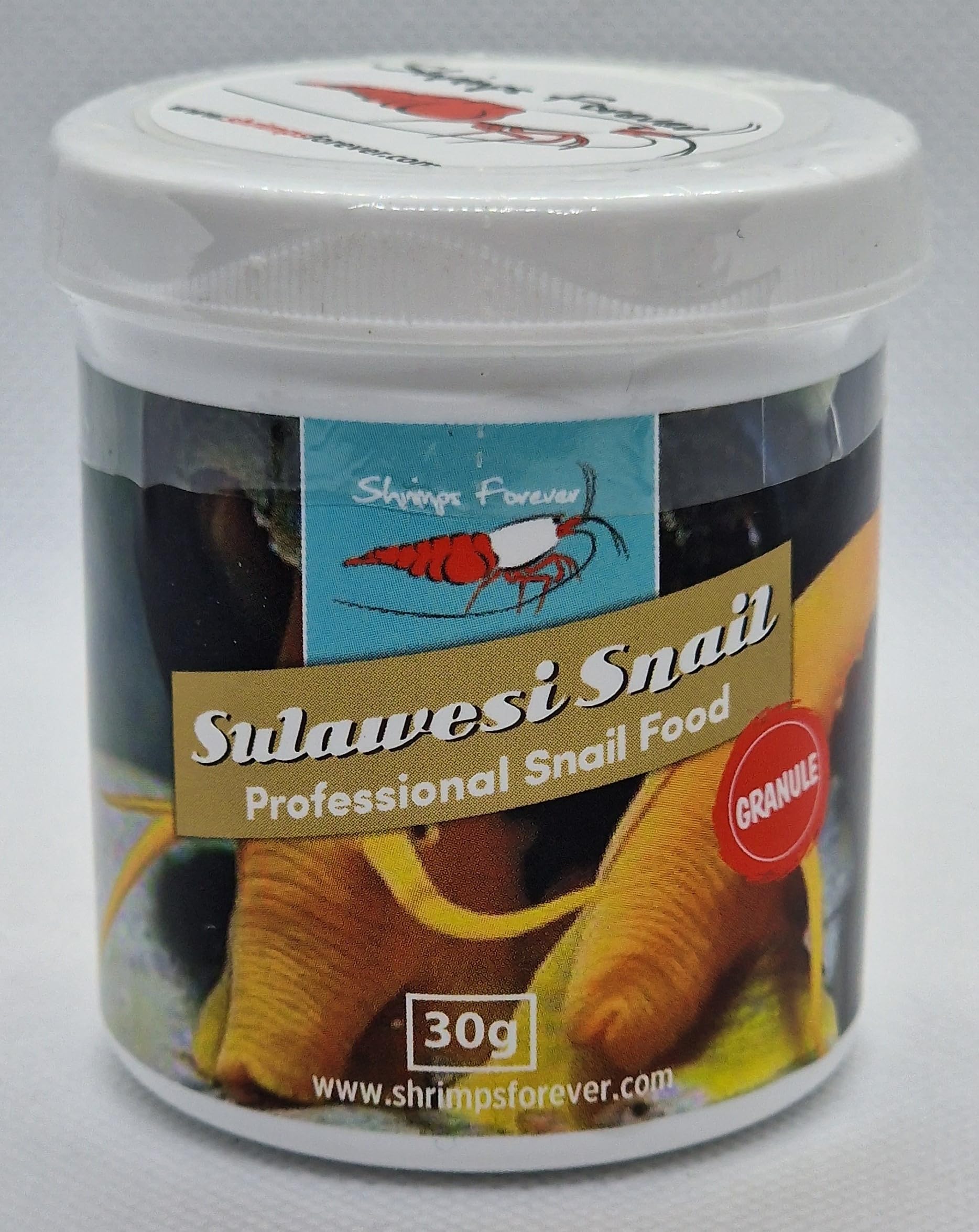 Sulawesi Snail Food Ornamental snails food