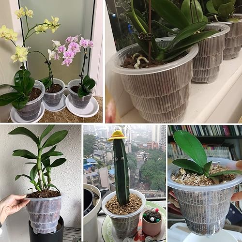 Miniatura 7 de Macetas de orquídeas transparentes de 6 pulgadas con agujeros para trasplantar, paquete de 4, pequeñas macetas de plástico para orquídeas que