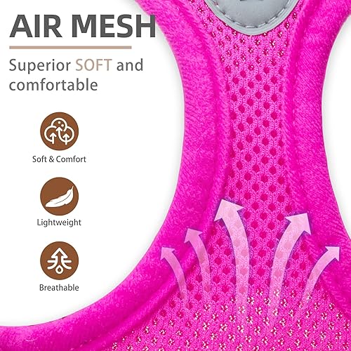 Miniatura 2 de PUPTECK Juego de arnés ajustable para perro, collar y correa sin tirones, arnés para mascotas para perros pequeños y medianos, cachorros y gatos,