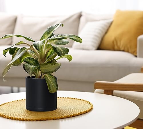 Miniatura 6 de D'vine Dev Paquete de 4 macetas de plástico modernas de 6 pulgadas, macetas de jardín pequeñas para plantas con agujeros de drenaje y platillos,