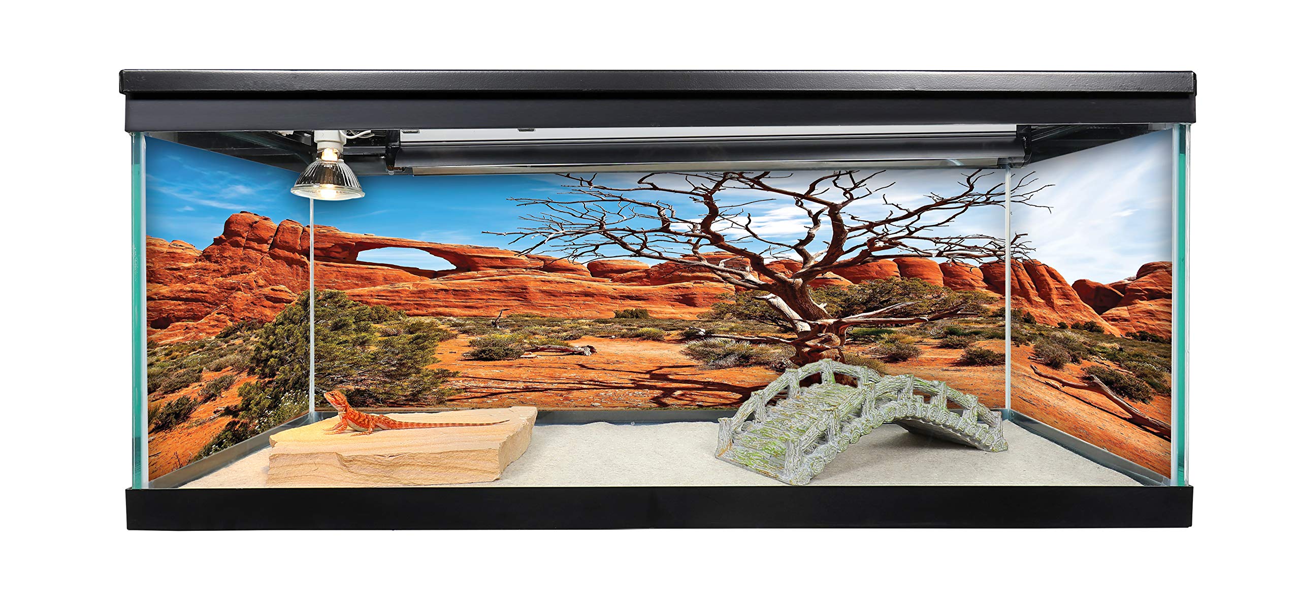 Reptile Habitat Background; Arch with Tree for 20L, 3-Sided Wraparound