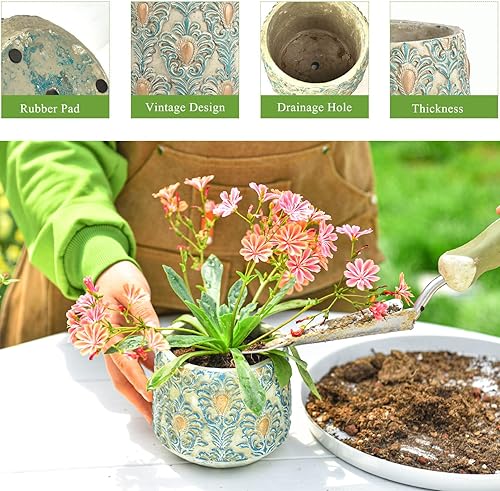 Miniatura 6 de Sungmor Macetas decorativas de cemento, verde, redondas, para interiores y exteriores, pequeñas, 4.7 pulgadas de largo x 4.7 pulgadas de ancho x 3.9