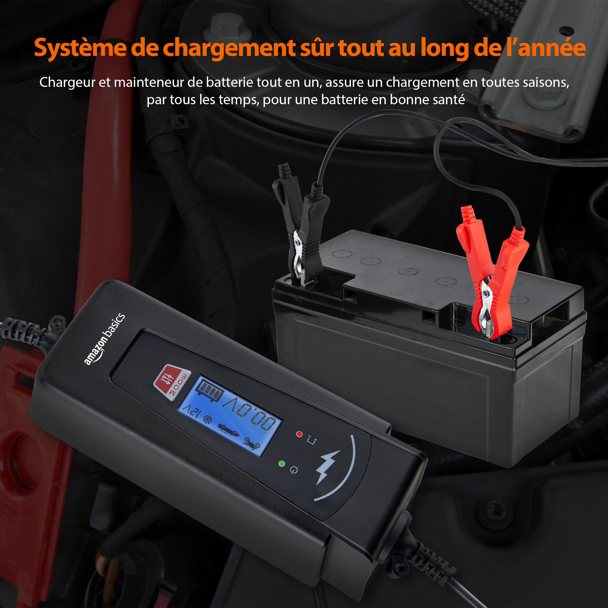 Amazon Basics Chargeur de batterie intelligent automatique avec fonction testeur de batterie, prise UE, sortie : 2A/4A, 6V/12V DC, Noir