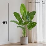 Artificial Bird of Paradise Tree 4ft - Faux Banana Leaf Palm Plant with White Planter, Lifelike Large Silk Floor Tree for Indoor Outdoor Modern Decor, Home Living Room Office Housewarming Gift