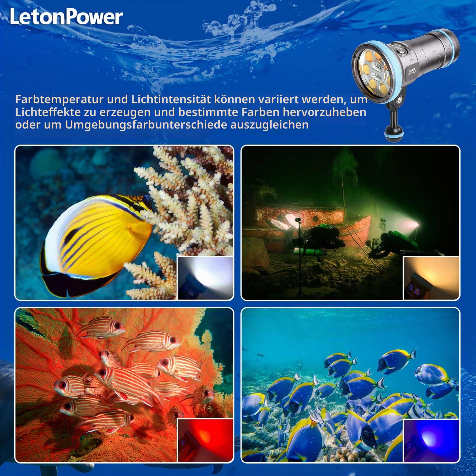 Shark CX tauchlampe Video 8000 Lumen - IP68 wasserdichte Videoleuchte (120m), CRI 98 mit 120°-Winkel, USB-C wiederaufladbar für Unterwasser videoleuchte