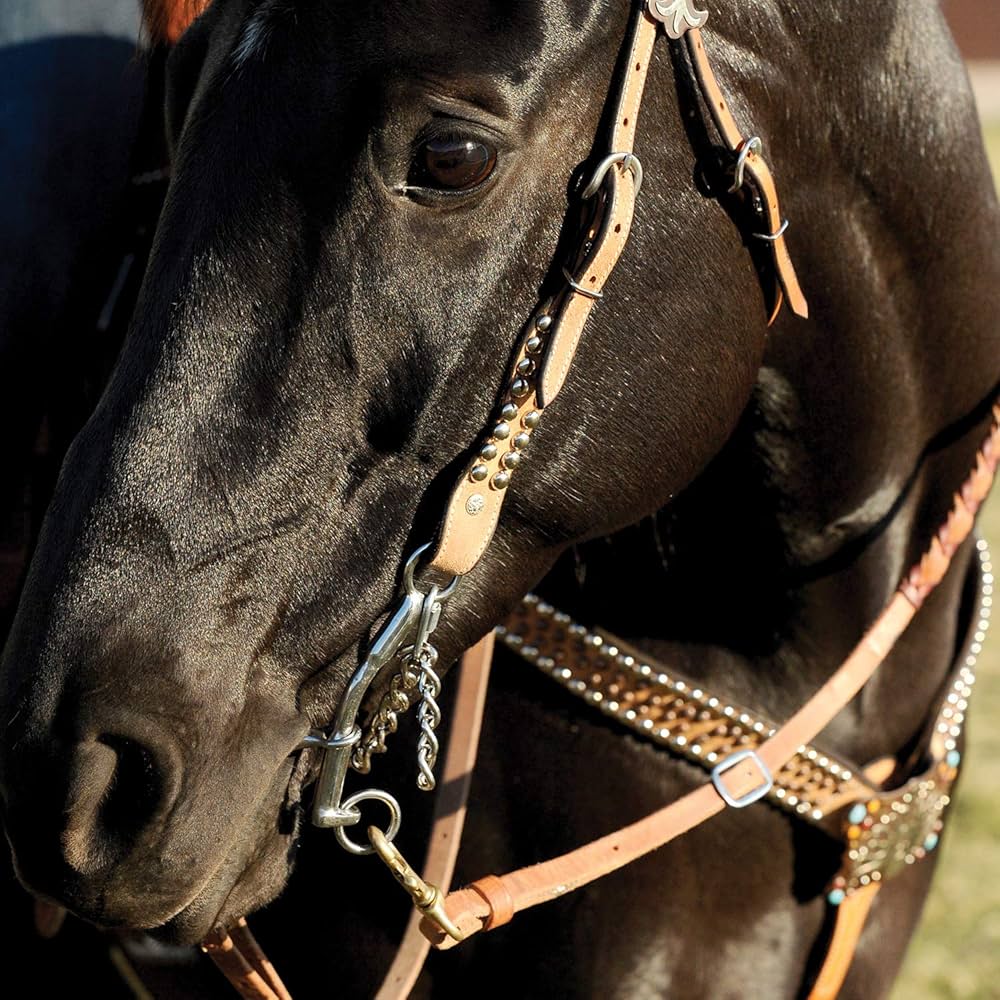 Amazon.com : Circle Y Carol Goosetree Chain Short Gag Bit