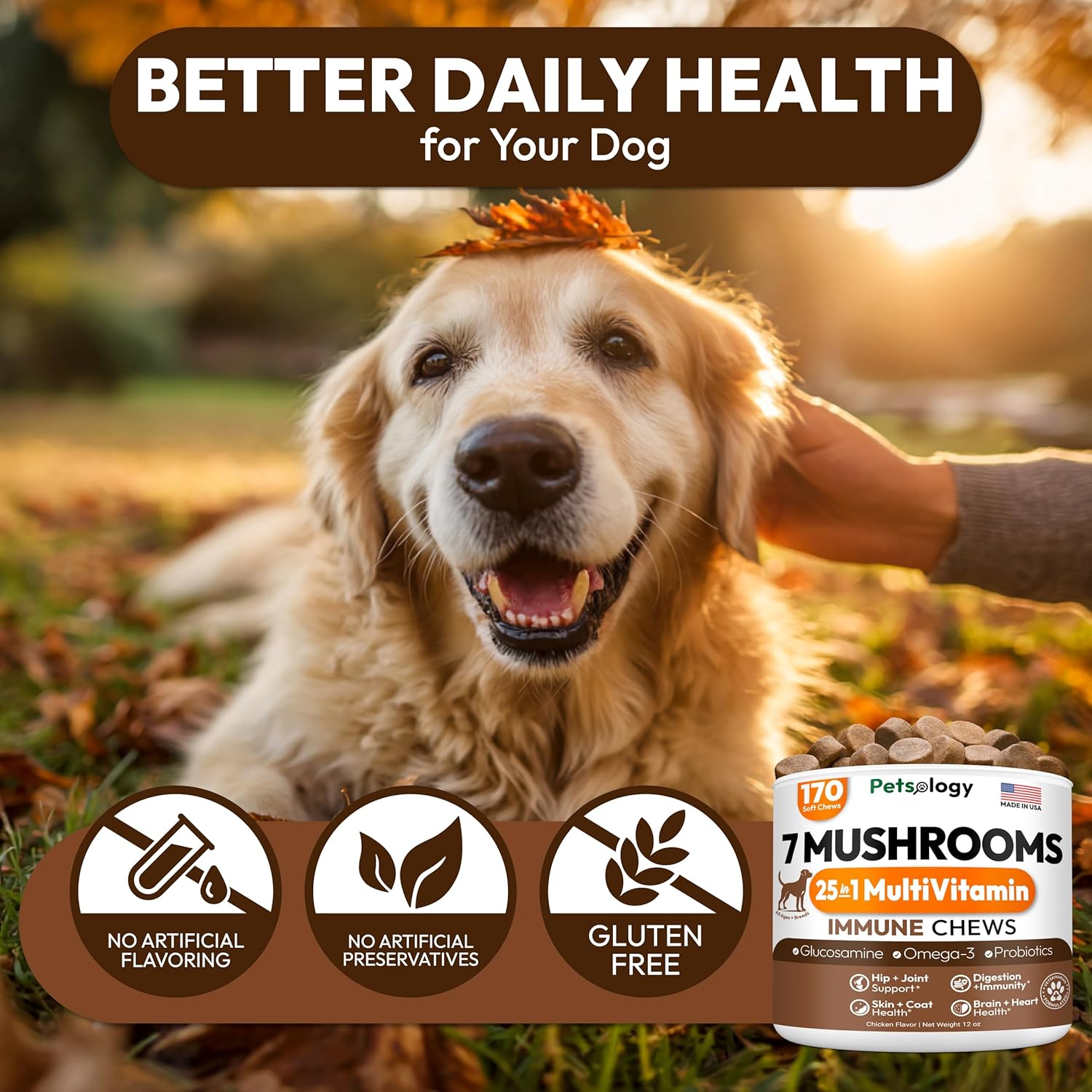 (2 Pack) Turkey Tail Mushroom for Dogs - 340 Chews - Lion’s Mane - Shiitake - Reishi - Buddy Immune Support Guard - Mushroom Supplement for Dogs with Glucosamine, Health Vitamins Multivitamin