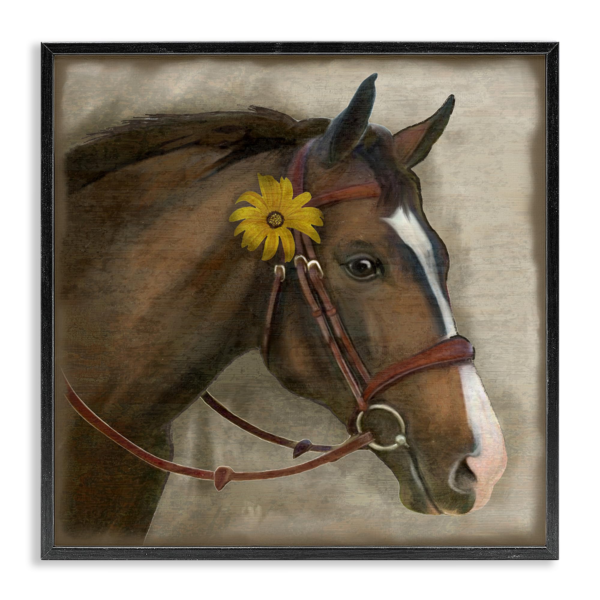 Stupell Industries Barnyard Horse Daisy Portrait_v1 'Barnyard Horse With Daisy', Framed Giclee Art, Black, 12 X 12 Inches, Easy To Hang And Sturdy, Made In Usa, By Suzanne Nicoll