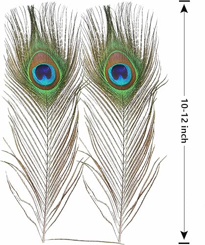 Miniatura 2 de THARAHT 12pcs pluma de pavo real natural a granel 10-12 pulgadas 9.8-11.8 in Ojo pequeño para manualidades jarrón boda fiesta hogar decoración día