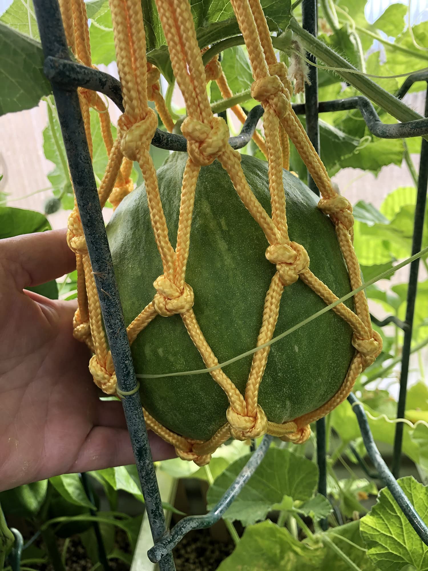 Lot De 50 Filets à Pastèque Pour Hamac à Pastèque, 35,6 Cm, Très