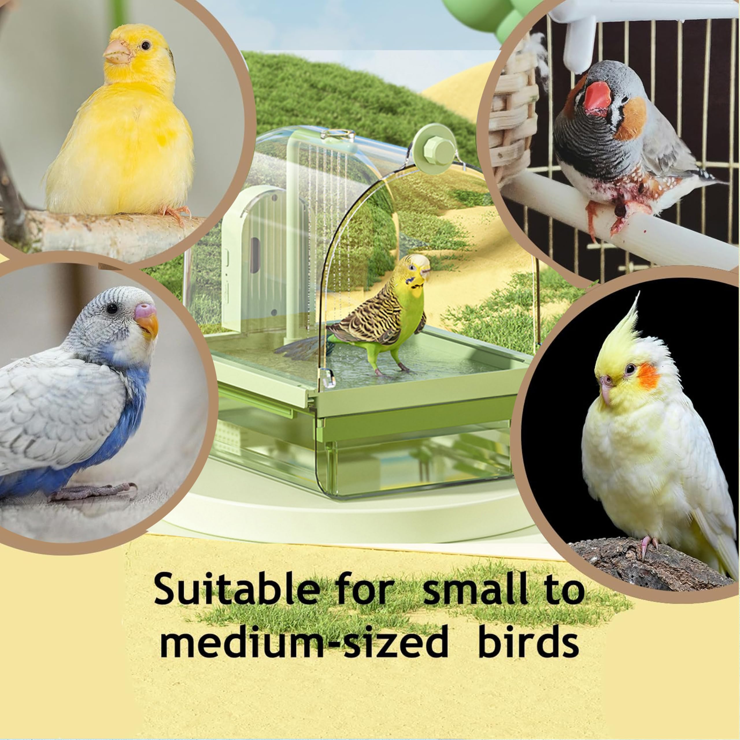 Bird Bath for Cage Parakeets, Indoor Cockatiel Bathtub Shower with Pump, Parrots Shower Accessories for Birdcage, Parrot Bathtub with Shower Running Water for Finches, Canaries, Lovebirds (Green) - image 6