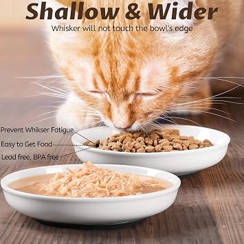 Ceramic Cat Bowls, Wellbro Kitten Dishes and Plates for Wet Food