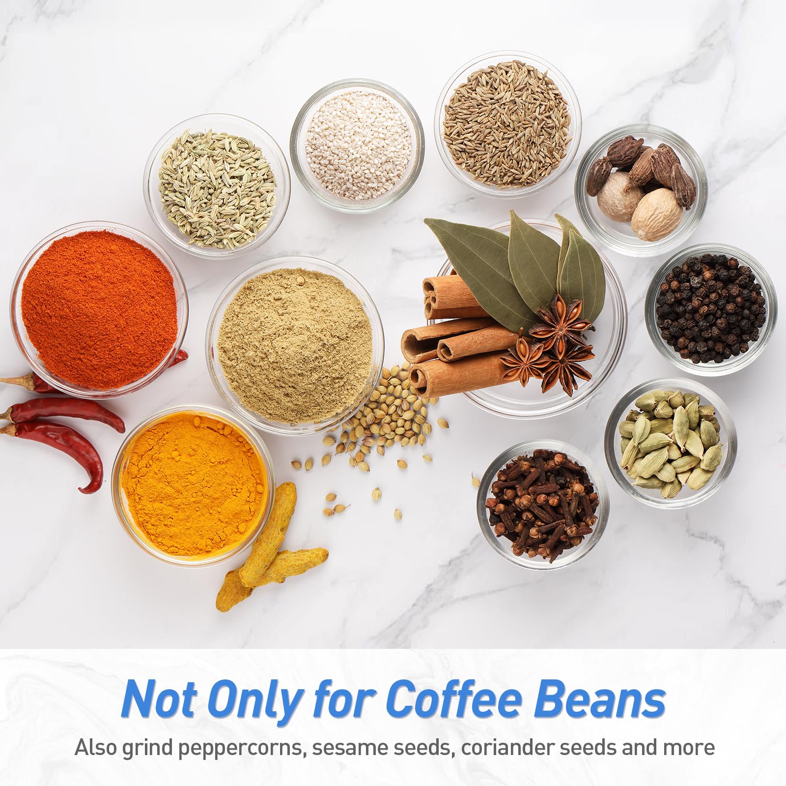 Quiet Electric Coffee Grinder - Stainless Steel -8