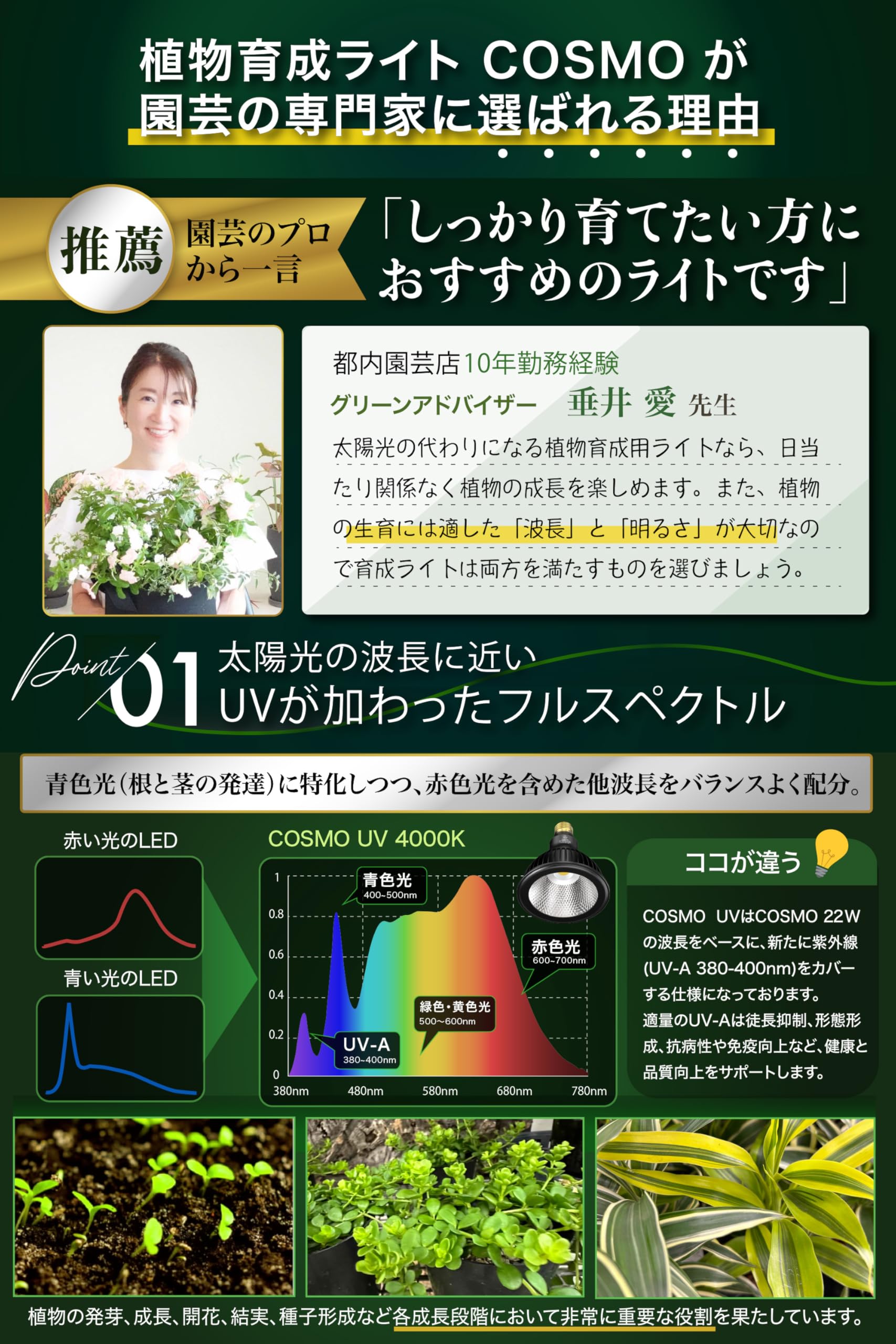 Amazon.co.jp: 【グリーンアドバイザー推薦】BRIM(ブリム) COSMO UV